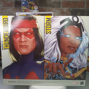 Storm and Thunderbird Marvel Legends